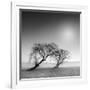 Reverencia-Moises Levy-Framed Photographic Print