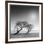 Reverencia-Moises Levy-Framed Photographic Print