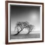 Reverencia-Moises Levy-Framed Photographic Print