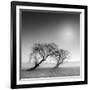 Reverencia-Moises Levy-Framed Photographic Print