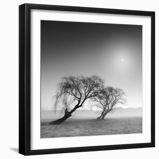 Reverencia-Moises Levy-Framed Photographic Print