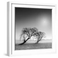 Reverencia-Moises Levy-Framed Photographic Print