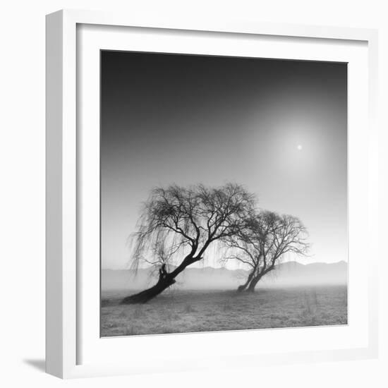 Reverencia-Moises Levy-Framed Photographic Print