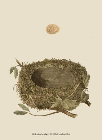 Antique Nest and Egg I