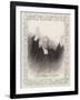 Gramercy Black