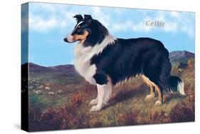 Reverend Hamilton's Collie-null-Stretched Canvas