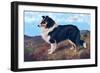 Reverend Hamilton's Collie-null-Framed Art Print