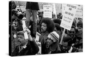 Reverend Jesse Jackson's march for jobs at the White House, 1975-Thomas J. O'halloran-Stretched Canvas
