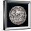 Reverse of a Medal Commemorating the Bright Comet of 1577-null-Framed Photographic Print