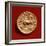 Reverse of a Stater of Philip II of Macedonia Depicting a Charioteer, 356-336 BC-null-Framed Giclee Print