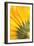 Reverse Of Yellow Flower-Tom Quartermaine-Framed Giclee Print