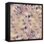 Reverse Sea Floral Radial-David Manlove-Framed Stretched Canvas