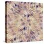 Reverse Sea Floral Radial-David Manlove-Stretched Canvas