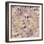 Reverse Sea Floral Radial-David Manlove-Framed Giclee Print