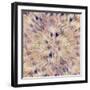 Reverse Sea Floral Radial-David Manlove-Framed Giclee Print