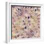 Reverse Sea Floral Radial-David Manlove-Framed Giclee Print