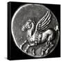 Reverse Side of a Coin Depicting Pegasus, from Corinth, 700-300 BC-null-Framed Stretched Canvas