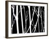 Reverse Silhouette II-Monika Burkhart-Framed Photographic Print