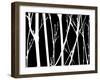 Reverse Silhouette II-Monika Burkhart-Framed Photographic Print