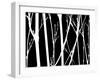 Reverse Silhouette II-Monika Burkhart-Framed Photographic Print