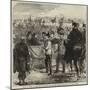 Review at Windsor of Troops from the Ashantee War-null-Mounted Giclee Print