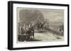 Review before the Emperor and the Prince of Wales in the Bois De Boulogne, Paris-Jules Pelcoq-Framed Giclee Print