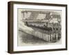 Review of the Honourable Artillery Company, on Her Majesty's Birthday-null-Framed Giclee Print