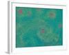 Revisiting Starry Night-Maryse Pique-Framed Giclee Print