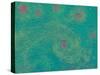 Revisiting Starry Night-Maryse Pique-Stretched Canvas