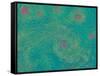 Revisiting Starry Night-Maryse Pique-Framed Stretched Canvas