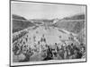Revival of the Olympic Games in Athens: Loues Winning the Race from Marathon, 10th April 1896-null-Mounted Giclee Print