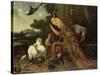 Revolt in the Poultry Coup-Melchior de Hondecoeter-Stretched Canvas