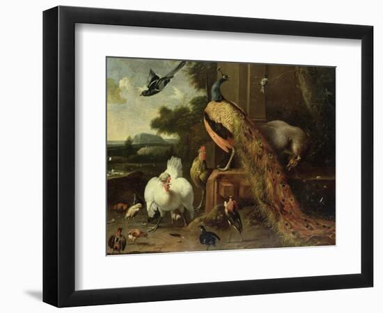 Revolt in the Poultry Coup-Melchior de Hondecoeter-Framed Premium Giclee Print