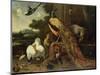 Revolt in the Poultry Coup-Melchior de Hondecoeter-Mounted Premium Giclee Print