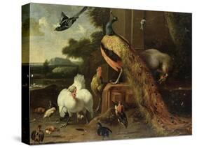 Revolt in the Poultry Coup-Melchior de Hondecoeter-Stretched Canvas