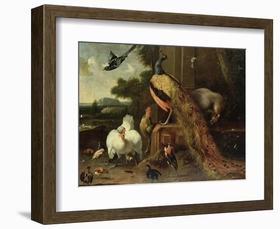 Revolt in the Poultry Coup-Melchior de Hondecoeter-Framed Giclee Print