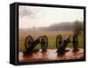 Revolutionary Cannons at Valley Forge-Henry Groskinsky-Framed Stretched Canvas