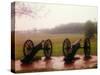 Revolutionary Cannons at Valley Forge-Henry Groskinsky-Stretched Canvas