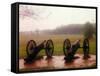 Revolutionary Cannons at Valley Forge-Henry Groskinsky-Framed Stretched Canvas