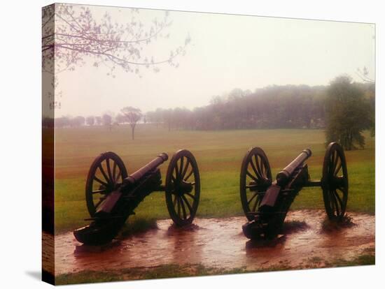 Revolutionary Cannons at Valley Forge-Henry Groskinsky-Stretched Canvas