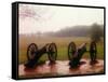 Revolutionary Cannons at Valley Forge-Henry Groskinsky-Framed Stretched Canvas