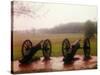 Revolutionary Cannons at Valley Forge-Henry Groskinsky-Stretched Canvas