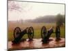 Revolutionary Cannons at Valley Forge-Henry Groskinsky-Mounted Photographic Print