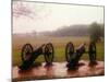 Revolutionary Cannons at Valley Forge-Henry Groskinsky-Mounted Photographic Print