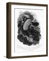 Revolutionary Fury and Britannia, 1814-I Brown-Framed Giclee Print