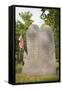 Revolutionary War Cemetery Plot, Boston, MA-Joseph Sohm-Framed Stretched Canvas