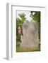 Revolutionary War Cemetery Plot, Boston, MA-Joseph Sohm-Framed Photographic Print