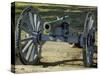 Revolutionary War French Cannon Called the Fox, Yorktown Battlefield, Virginia-null-Stretched Canvas