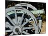 Revolutionary War French Cannon Called the Fox, Yorktown Battlefield, Virginia-null-Mounted Photographic Print