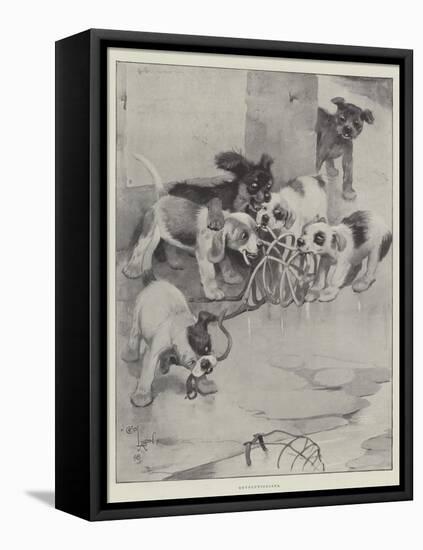 Revolutionists-Cecil Aldin-Framed Stretched Canvas